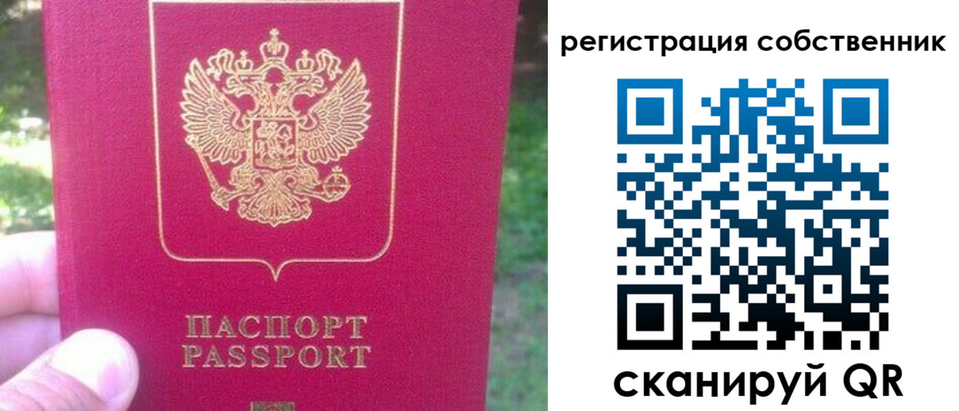 временная регистрация 2025 в Полярных Зорях